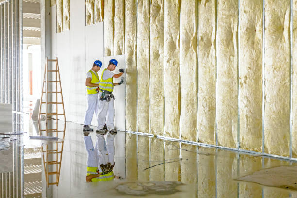 Best Insulation Installation Services in Timberlake, VA